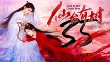 EP35 Love.of.the.Divine.Tree (2025)