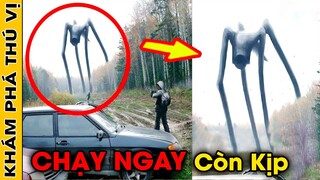 🔥 8 Con QUÁI VẬT Nguy Hiểm Và Đáng Sợ Nhất Xuất Hiện Ngoài Đời Thực Được Camera Quay Lại | KPTV