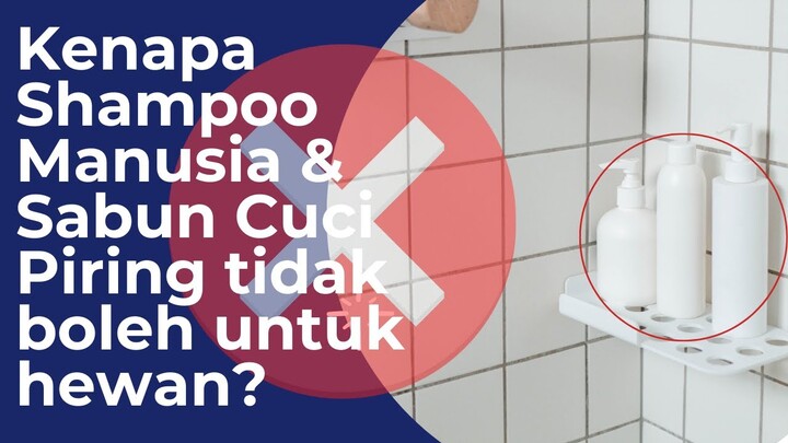 Kenapa kucing dan anjing tidak boleh menggunakan shampoo manusia atau sabun cuci piring?
