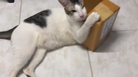 Bạn cứ ôm mà ngủ đi