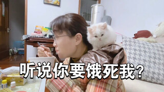 猫咪降服父母只需要三天