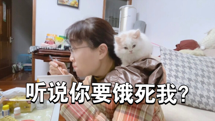 猫咪降服父母只需要三天