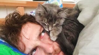 “Sleeping with a cat, Is It Healthy?” Cute Cats And Their Owners Sleep Together