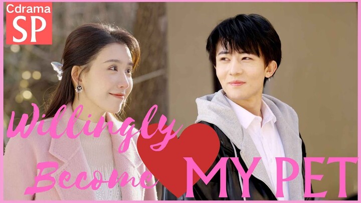 【Cdrama】SP💖Young CEO Willingly Becomes His Wife's Loyal Pet✨ #cdrama #chinesedrama