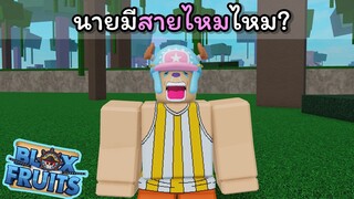 นายมีสายไหมไหม? [Blox Fruits]