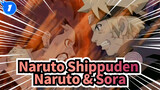Naruto Shippuden
Naruto & Sora_1