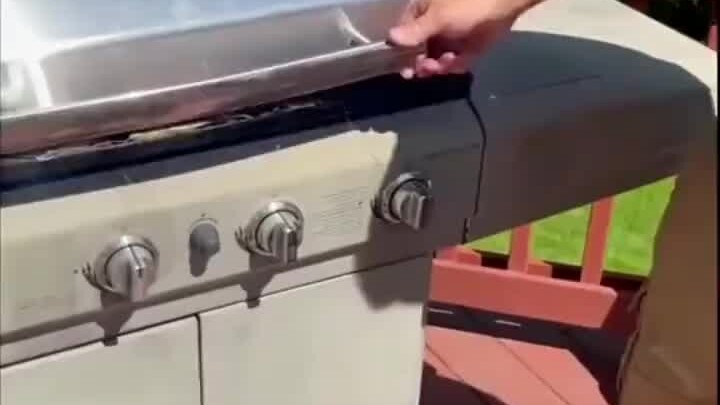 Netizen menemukan bayi hewan kecil yang ditinggalkan oleh ibunya di dalam "lemari" tua, lalu merawat