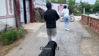 Ayah menemukan seekor anak anjing saat jalan-jalan pulang bersama anjingnya, ternyata anak anjing it