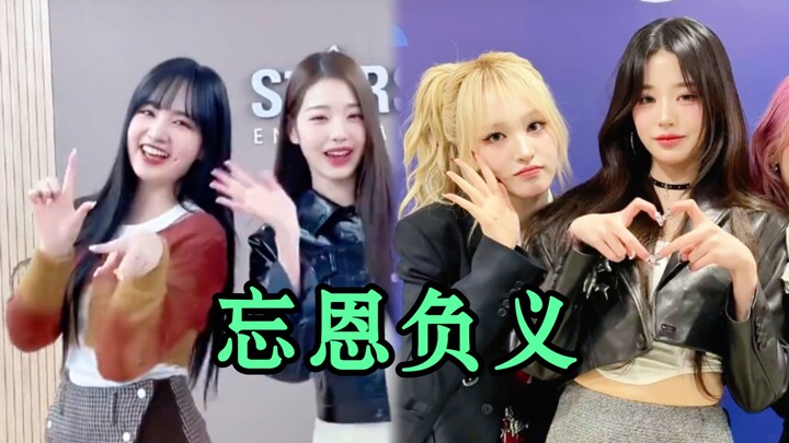 Không có Jang Won-young, ive chắc chắn không thể trụ nổi cho đến khi Liz giảm cân.