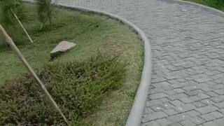 walking walking family with grandma di cimory pasuruan