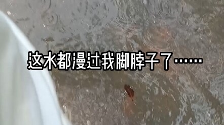 建议改为我在海里上大学doge