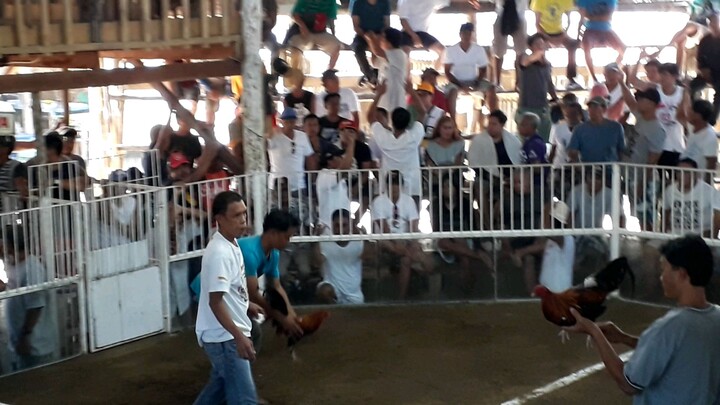 my 3x winner pototpotot my pondasyon,,