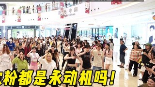 [Hỗ trợ kỷ niệm 8 năm ra mắt của SEVENTEEN] Thật tuyệt vời! Có phải tất cả các fan hâm mộ đều là máy