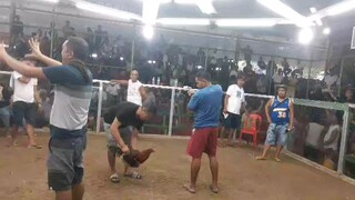 bakikie