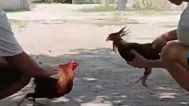 Nc one isa nalang paa pero kaya pa😂