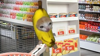 Banana Cat has discovered a way to save money while shopping!