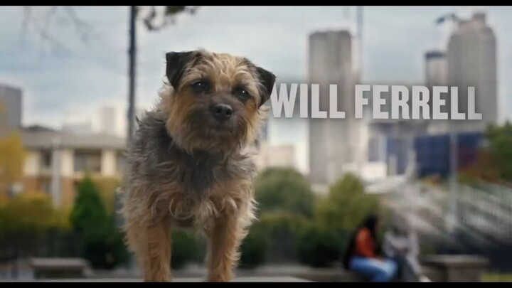 Strays  Watch Full Movie ; Link In Description