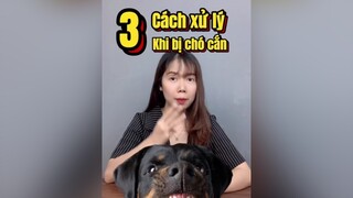 Xử lý khi bị chó cắn Funny chó chó_cưng thúcưng education LearnOnTikTok thybian