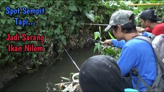 REJEKI NOMPLOK!! Mancing Melem Hari Ini Strike Terus Broo!!