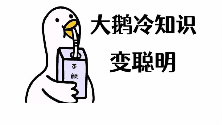 Chả trách sau khi vận động đầu lại ngứa ngáy, hóa ra là não đang phát triển!