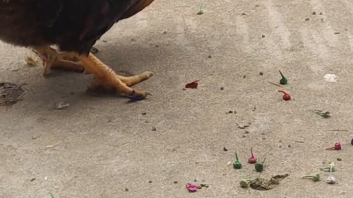 พี่คุน: อร่อยสุดๆ