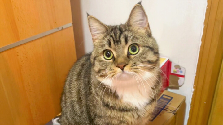 ช่วยกันแต่งรูปฉันเป็นกระต่ายน้อยหน่อยนะ ขอบคุณทุกคนนะคะ