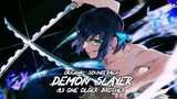 Demon Slayer "Kimetsu no Yaiba"『As One Older Brother 』 | Volume 7