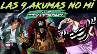 Las 9 Akumas no mi CONOCIDAS del crew de BARBANEGRA🕳| One Piece