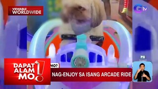 Aso, nag-enjoy sa isang arcade ride | Dapat Alam Mo!