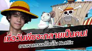 เมื่อวันพีซจะกลายเป็นคน | One Piece