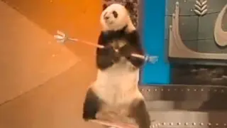 A real Kung Fu Panda
