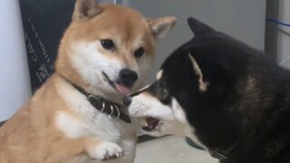 《没头脑和不高兴》