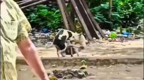 রিয়েল হিরো কে