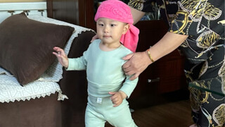 吉普赛蛤蟆来咯