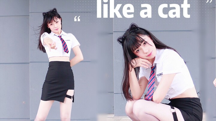 【MIKO Meow-chan】Langkah seperti kucing❤Seperti kucing~ Meong! [10.000 penggemar untuk penukaran]