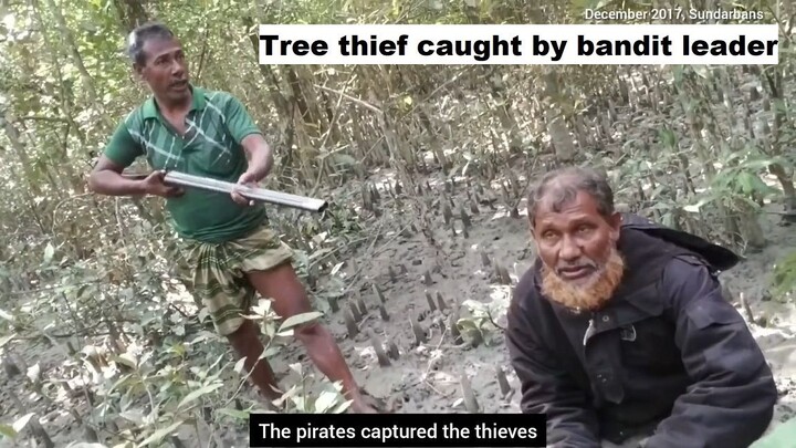 Tree thief caught by bandit leader, life in Bangladesh's Sundarbans. 盜樹賊被匪徒頭目抓獲，在孟加拉國孫德爾本斯過著幸福的生活