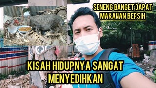 Karena Takut Dengan Manusia Kucing Ini Memilih Tinggal Di Tempat Sampah Kasihan Banget.!