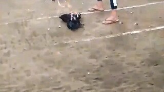 nka 2 hits na cia aklan cockpit arena