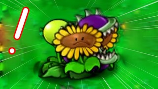 Hoa hướng dương: Bãi cỏ này đông quá! [Plants vs. Zombies]
