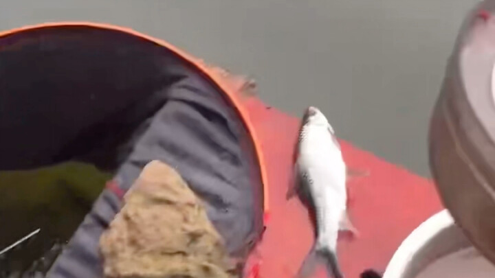 You had your chance, but you blew it.