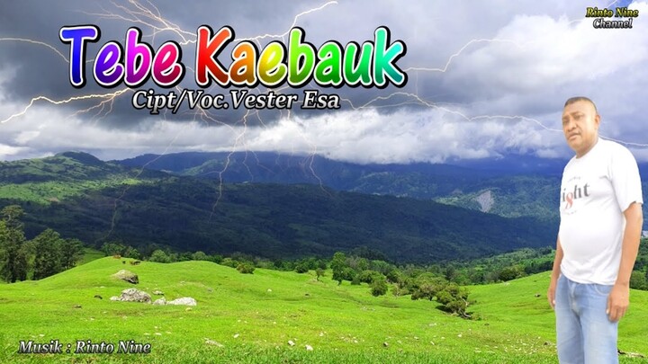TEBE KAEBAUK TERBARU Vester Esa Lagu Tebe Songket Terbaru 2022