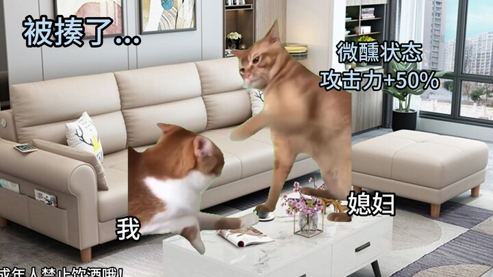 【Cat Meme】A Private Wine Party with My Wife
