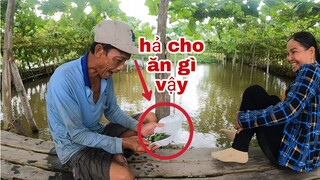 Tư Cà Khiạ Bị Vợ Cho Ăn Món Này Qúa Tức Mà