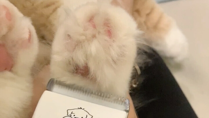 Please use big data to recommend this to brothers and sisters who love watching foot-hair shaving!