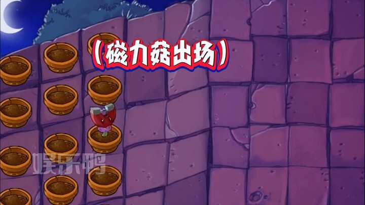 Tiên sinh Giang Vương: Hải Công Ngưu!!