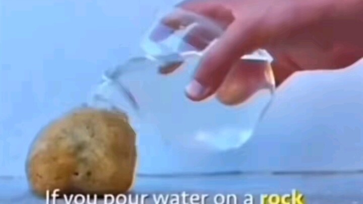 بعد مشاهدة المخيخ، أصبحت بلا وعي!