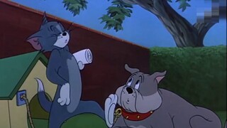3 menit untuk mempelajari dengan cepat tentang kucing baru yang telah kami kembangkan dan layani, me