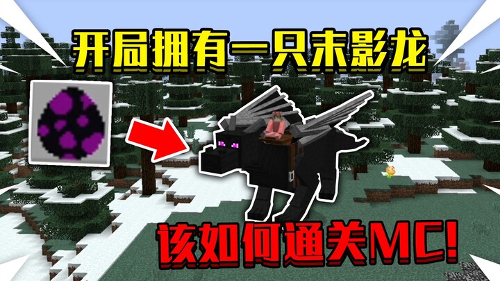 What if you start Minecraft with an Ender Dragon? How do you beat MC!