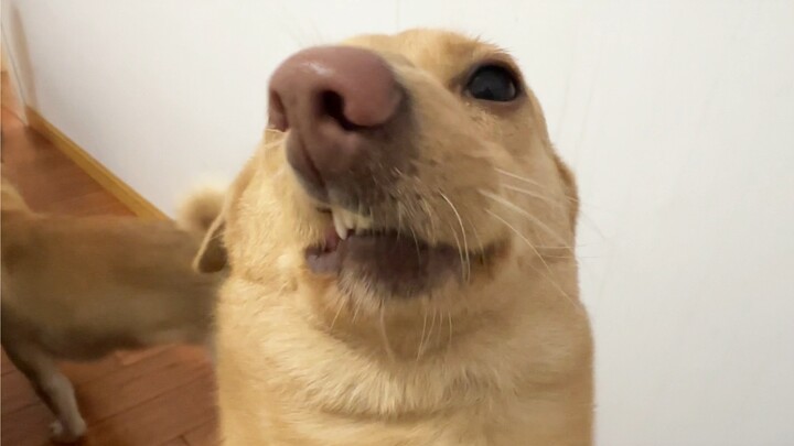 My zero-yuan purchase single-handedly boosted my net worth to nearly ten thousand.