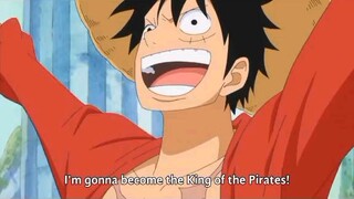 The strawhats believe in their captain😊